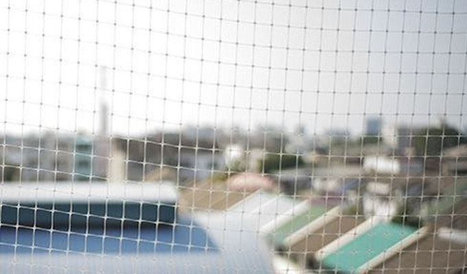 Service Details Image